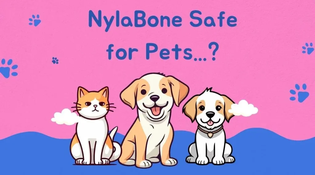 is Nylabone safe for dogs?