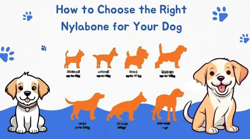 How to Choose the Right Nylabone for Your Dog