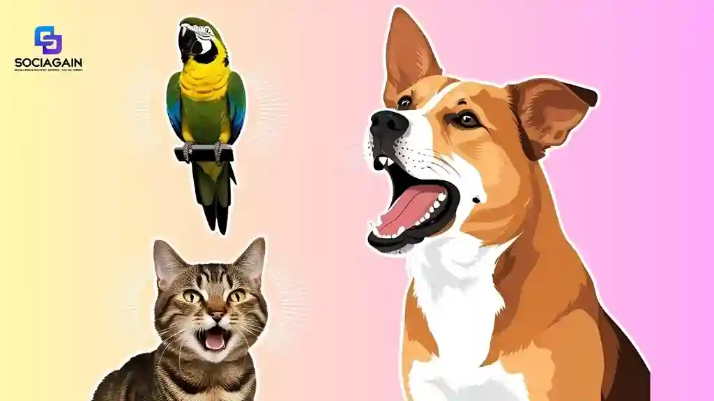 Animal Body Language Quiz