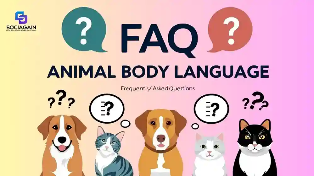 FAQs (Animal Body Language Quiz)